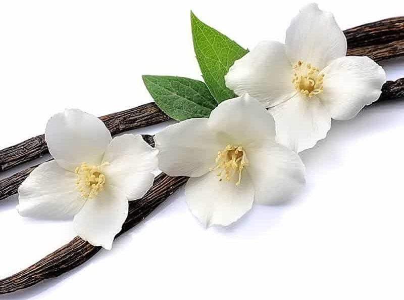 Country Vanilla