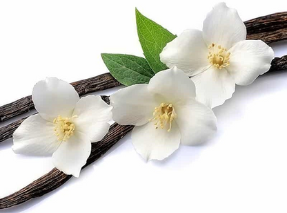 Country Vanilla
